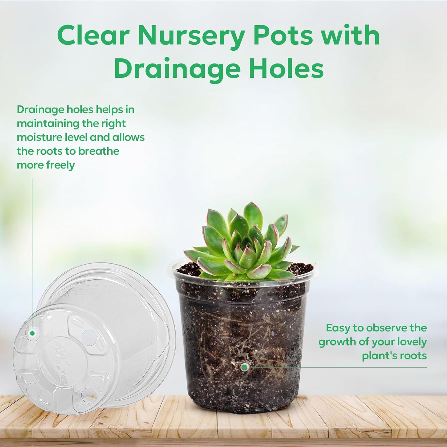 60 Packs 3.5 Inch Reinforced Clear Nursery Pots with Drainage Holes, Transparent Plastic Plant Pot Seedling Planter for Vegetable Propagation, Root Cutting, Seed Starting
