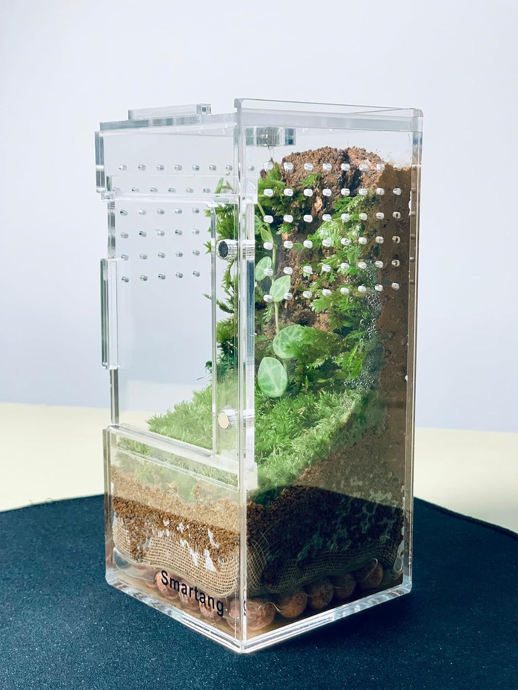 Jumping Spider Enclosure,Arboreal Tarantula Enclosure,Spider Habitat,Praying Mantis Habitat,Frog Enclosure,Insect Terrarium Bug Enclosure,Acrylic Terrarium