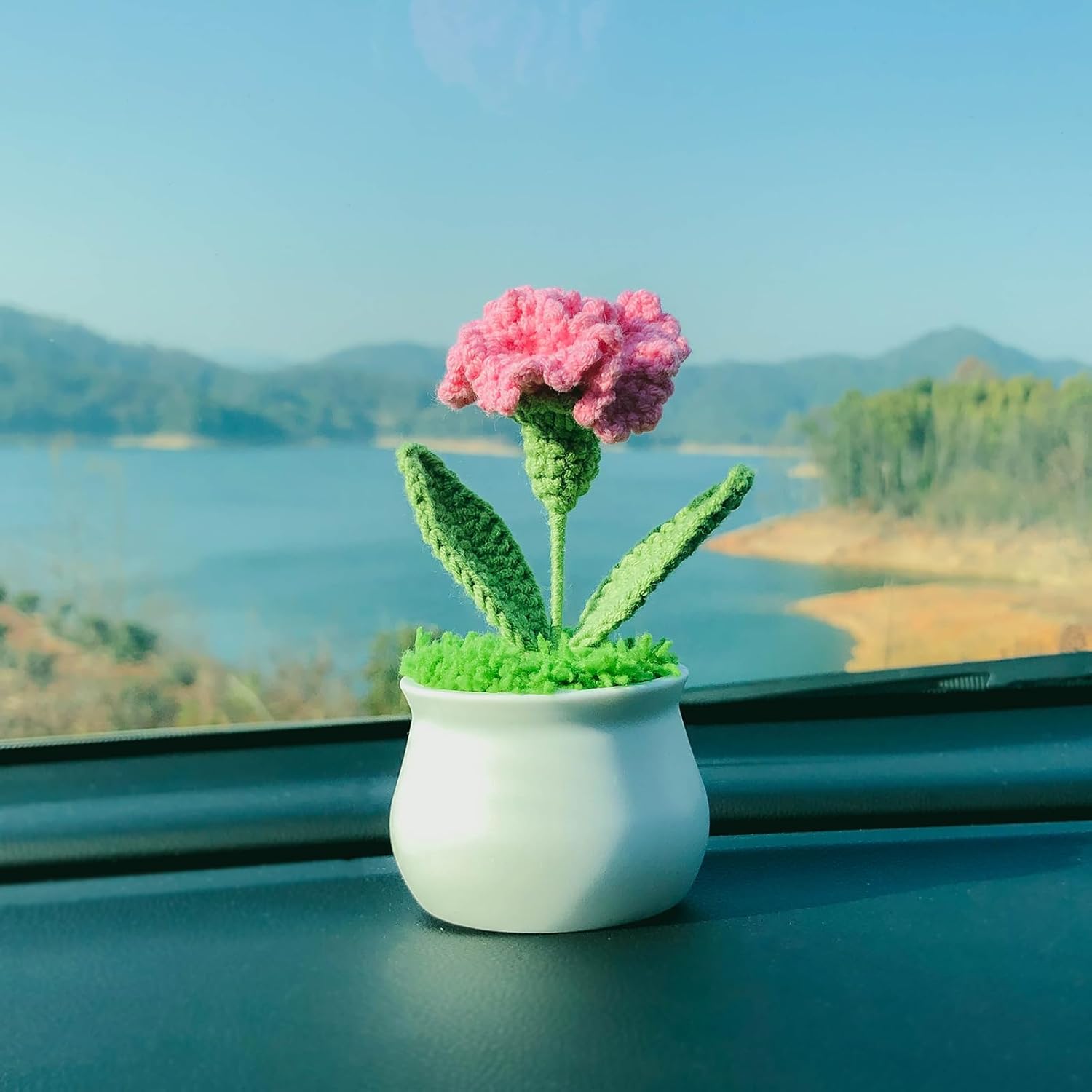 Crochet Flowers Cute Little Potted Flower, Gift for Mother's Day, Birthday, Teacher’s Day, Graduation, Anniversary, Decor for Car Dashboard,Home Office Decoration (Rose red Carnation)
