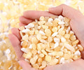 QINJIEJIE Yellow Jade Crystals Chips Natural Stone Gravel Bulk Crushed Rocks Pieces Polished Quartz Stone 0.55Lbs Decorative Fish Tank Pebbles Vase Filler Irregular Shaped Tumbled Gemstone for Home