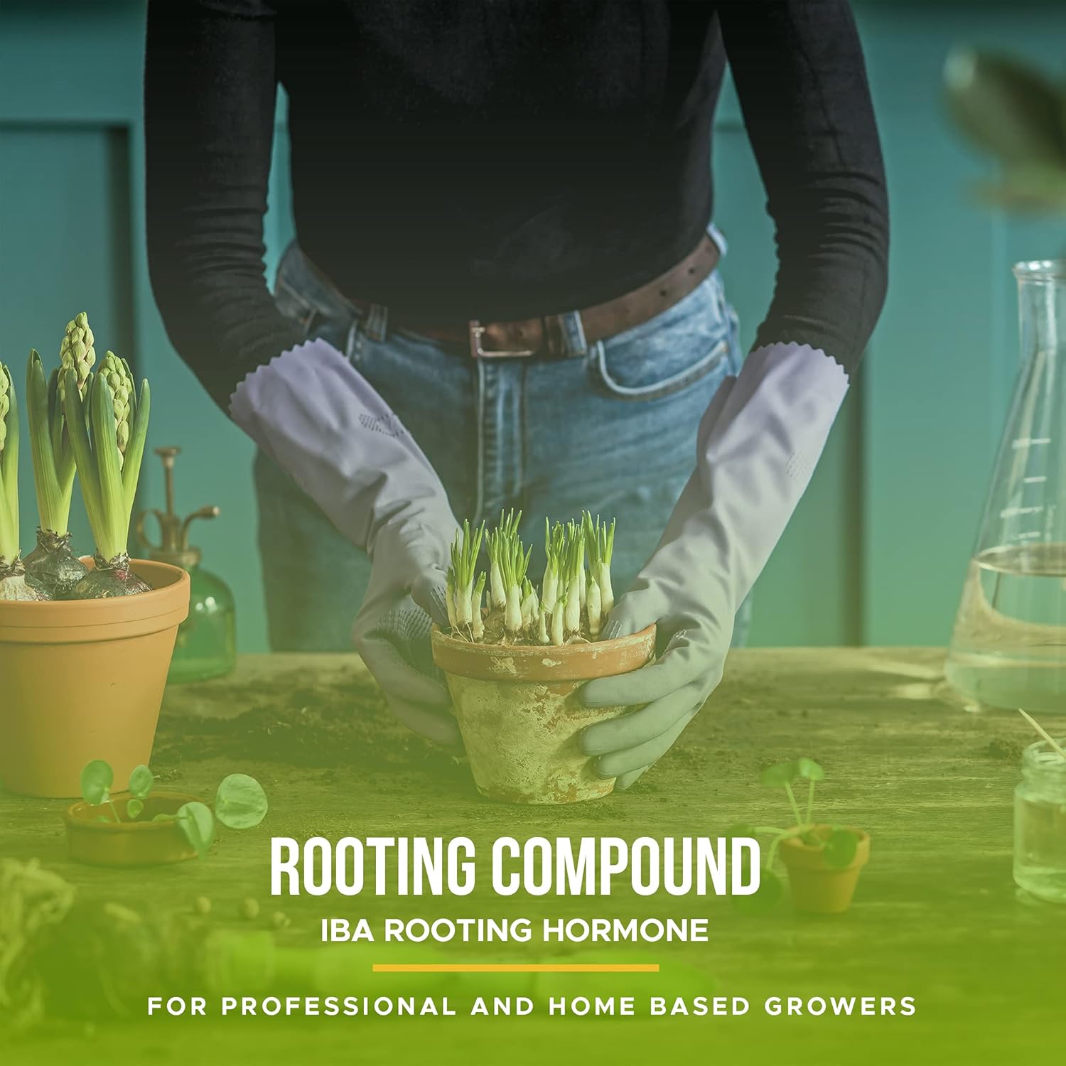 Rooting Hormone for Cuttings – .35 IBA Rooting Hormone - Cloning Gel Key to Plant Cloning - Midas Hydro Rooting Hormone for Cuttings 4oz - Rooting Gel for Professional and Home Based Growers