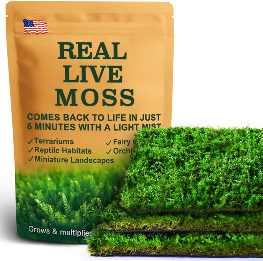 Live Moss – Brachythecium Moss (3 Sheets, Each Approx. 3.5"x7") for Terrariums, Moss Gardens, Plant Layouts & Natural Decor – Naturally Grown, Reusable, Not Artificial