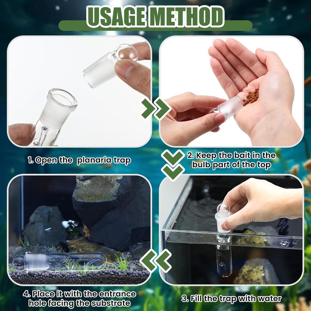 Qualirey 4 Pack Planaria Catch Trap for Aquarium Snail Leech Clear Glass Planaria Trap for Dwarf Shrimp Red Cherry Shrimp Tank(3 Holes)