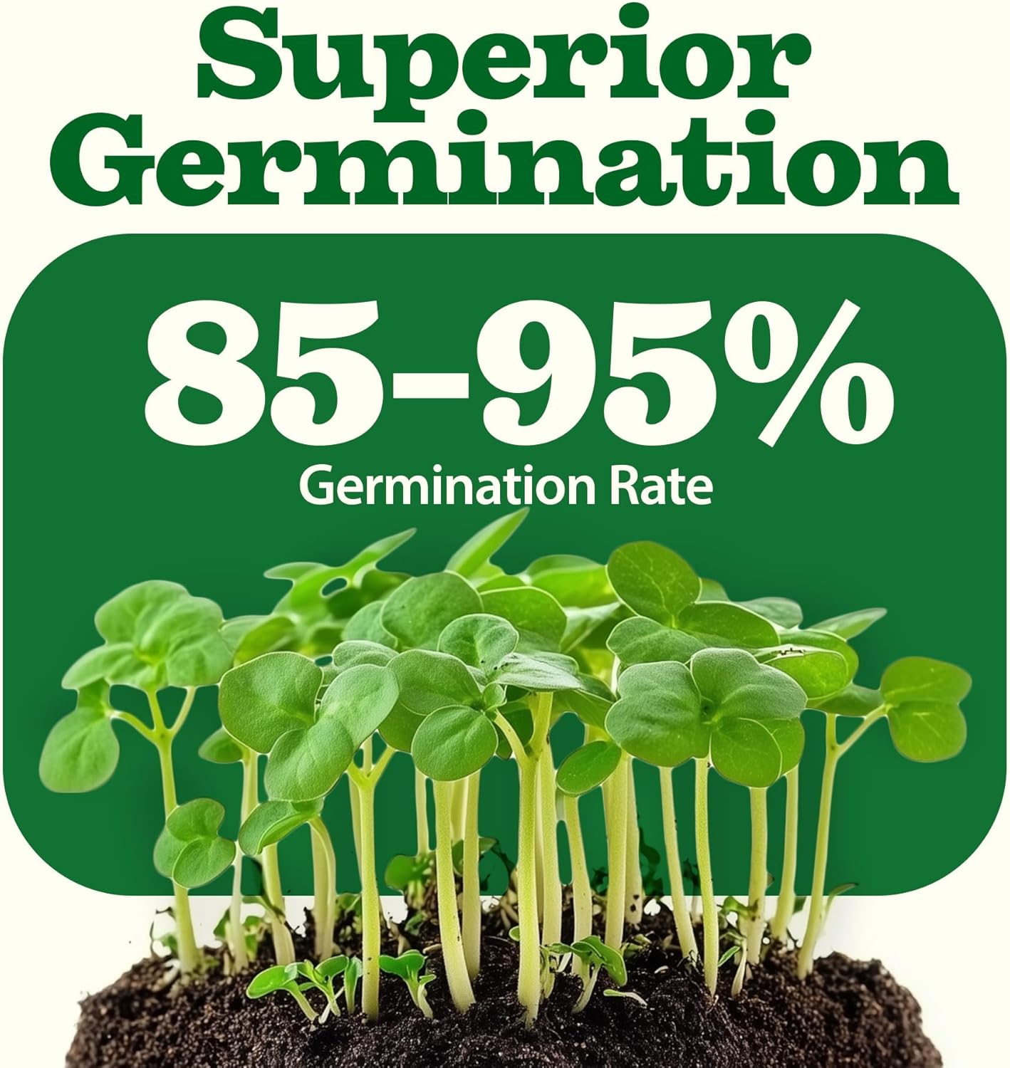 HOME GROWN 55 Vegetable Seeds Pack 28,000+ Non-GMO Heirloom Seeds for Planting Vegetables, Survival Seed Vault, Garden Kit for Spring Fall Winter, Gift for Gardeners