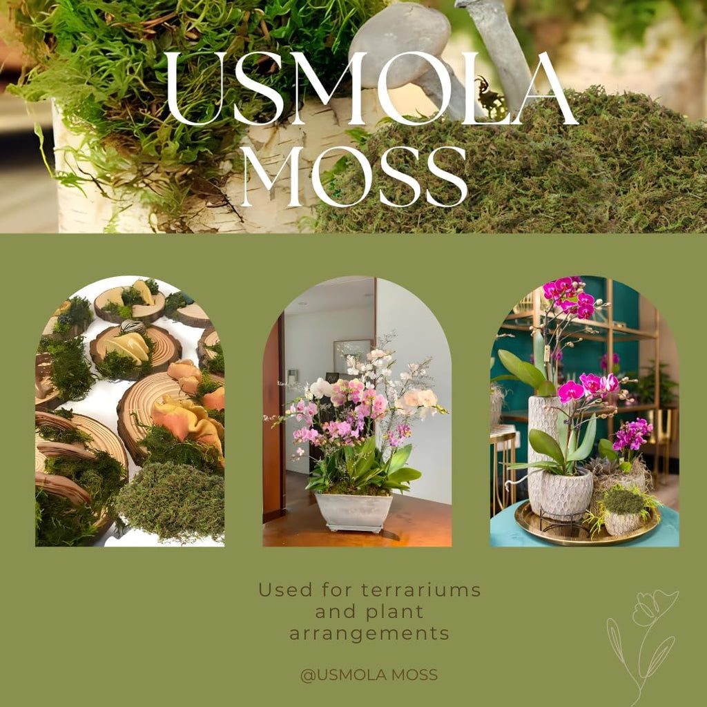 Fake Moss for Potted Plants Indoor, 2LBS Large Capacity Artificial Green Moss for DIY Crafts, Faux Moss for Table Centerpieces Fairy Garden Terrariums Decor (32OZ)