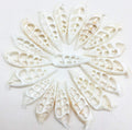 PEPPERLONELY 20 PC White Center Cut Cerithium vertagus Sea Shells, 1-1/2 Inch ~ 2 Inch