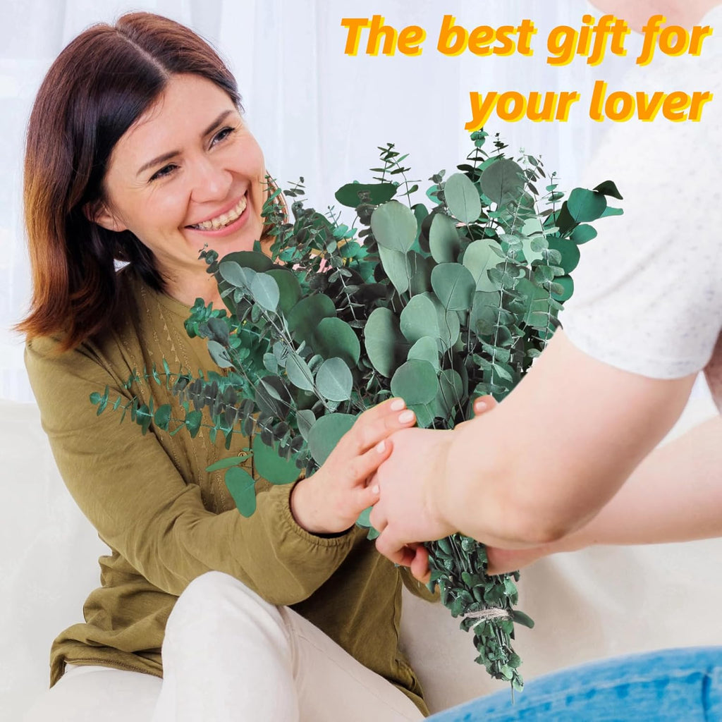 22 Pcs Large Dried Eucalyptus & Silver Dollar Leaves Bundle - Natural Real Fresh Eucalyptus, 17" Preserved Eucalyptus Stems for Shower Hanging, Bathroom Decor, Garland, Greenery Plant (22)
