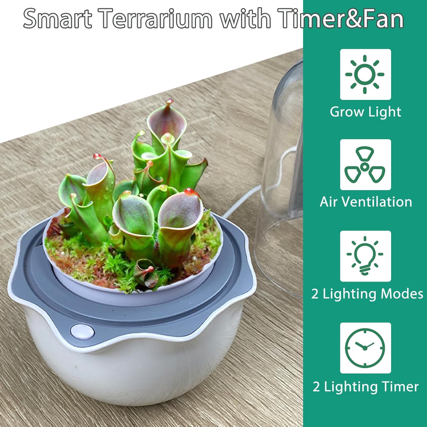 Venus Fly Trap Terrarium Pot with Timer Grow Light & Fan, Smart Planter for Succulents Butterwort, Carnivorous Plants Pot, Christmas Birthday Gifts for Women Garden Lover (no Plant)