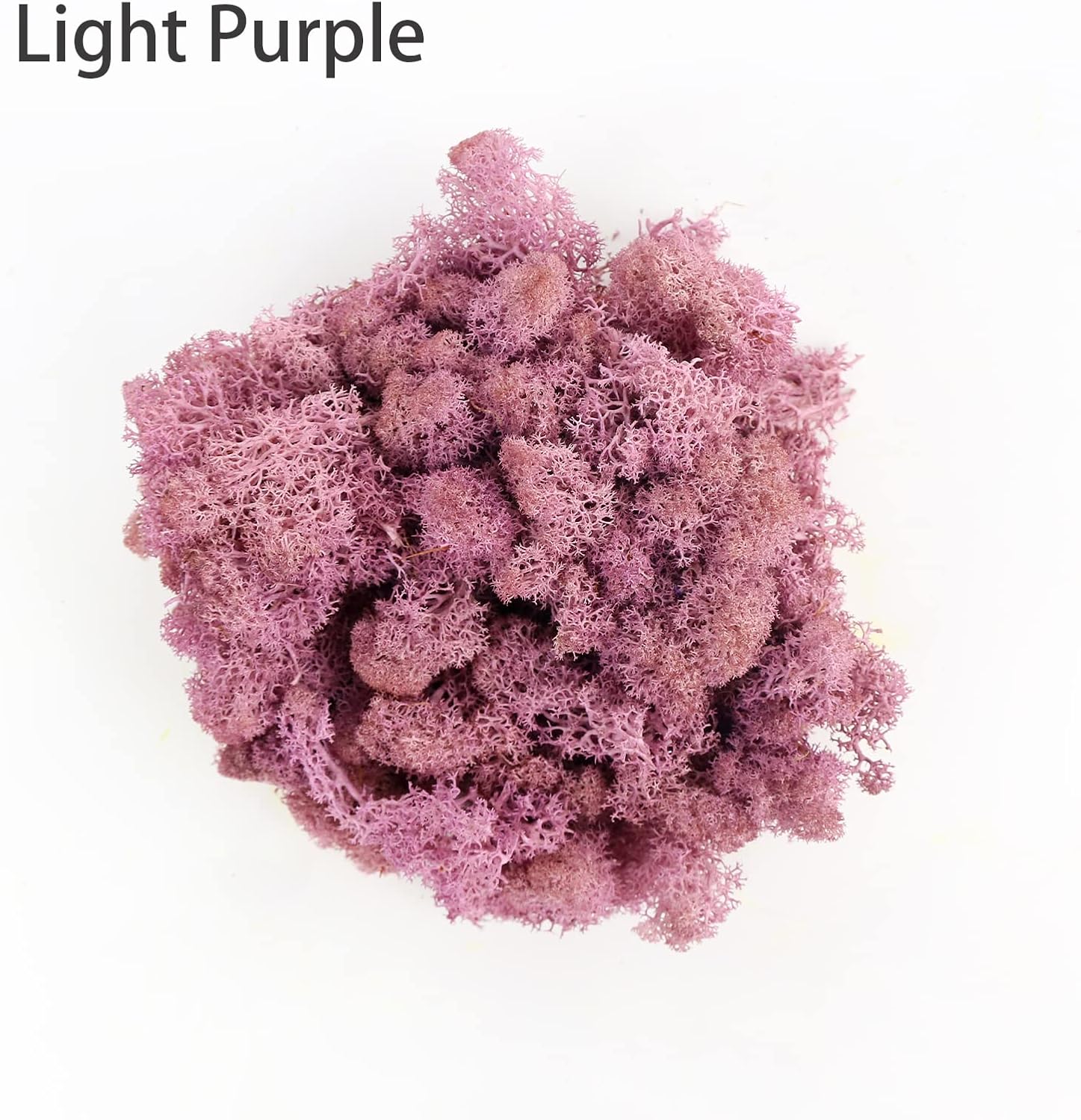Amoueterno Preserved 4 Color Reindeer Moss,Total 14OZ Each Color 3.5OZ, Natural Real Moss, DIY Kit Crafts Art Wall Decor Florist Decor,Purple