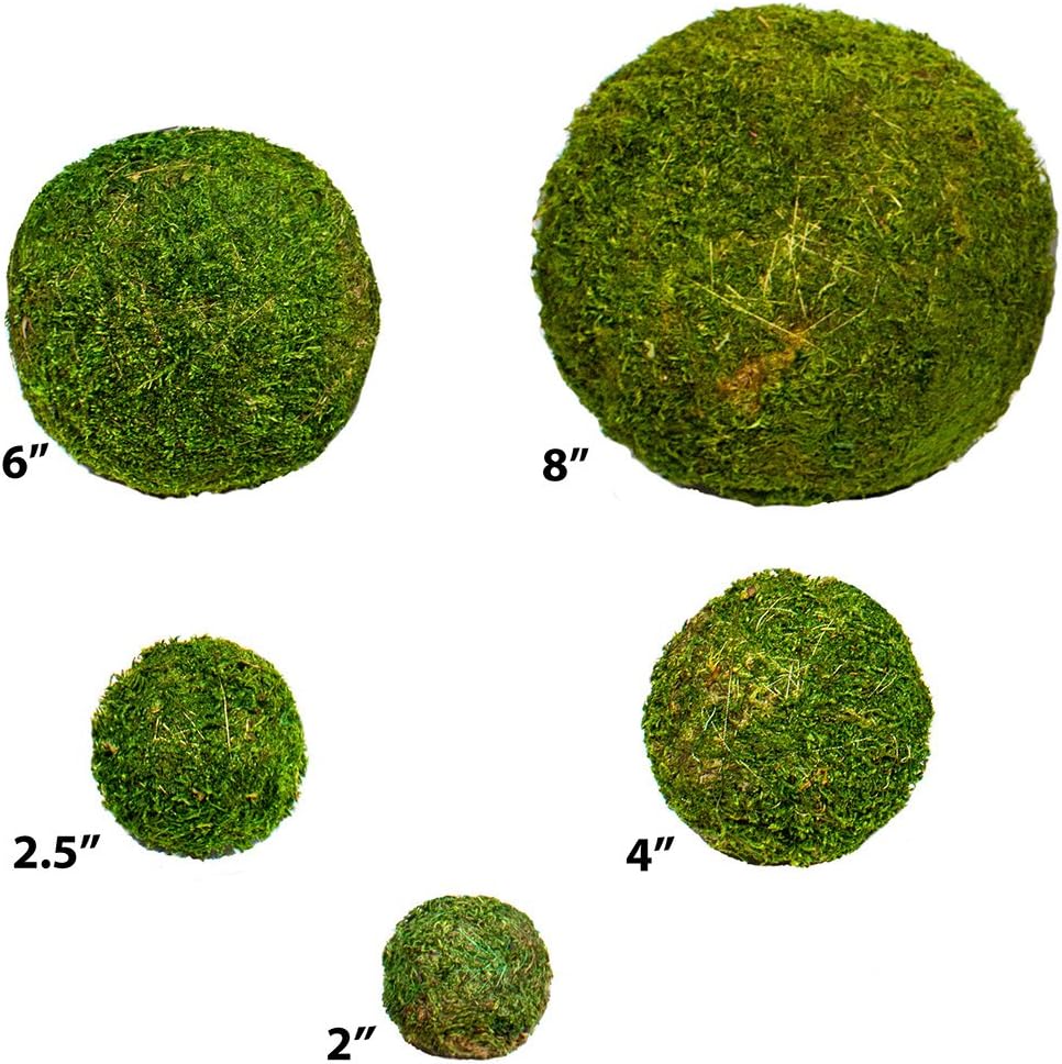 SuperMoss (21769) Moss Balls, Fresh Green, 2 (9 Pack)"