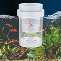 Pawfly Breeder Box for Fish Tank, Aquarium Fish Breeding Box, Floating Guppy Breeder Box, Baby Fish Separator for Aquarium, Plastic Hatchery Incubator Isolation Box for Shrimp Betta Clownfish, Medium