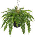Hollyone Artificial Fern Hanging Basket Plant 25" Boston Ferns 31 Leaves Greenery Plants with Rattan Pot for Outdoors & Indoor Fake Fern Bush Plant in Pot for Patio Entrance Porch Garden Decor Green