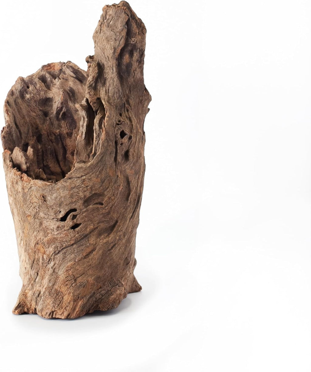 Galapagos (05550) Hollow Log Hide Terrarium & Aquarium Décor Fish Tank Hideout Eucalyptus Wood Medium 6” – 8”