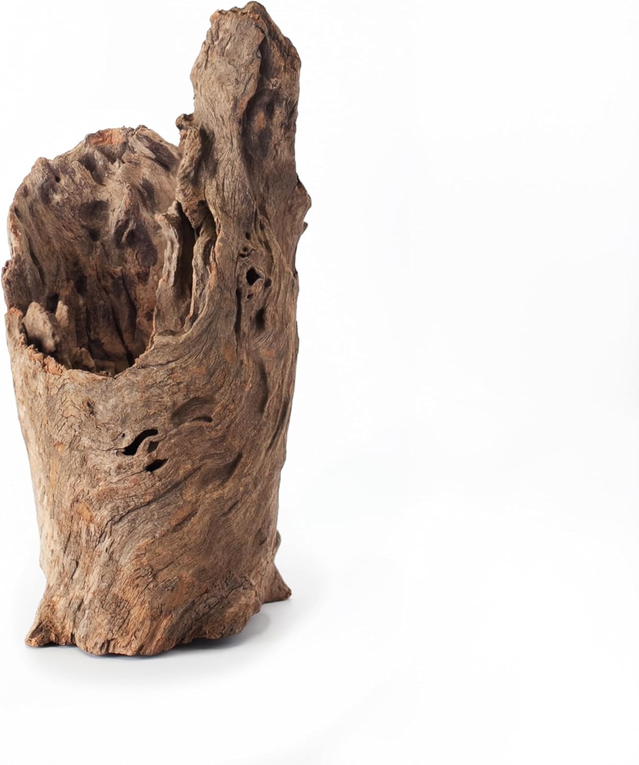Galapagos (05550) Hollow Log Hide Terrarium & Aquarium Décor Fish Tank Hideout Eucalyptus Wood Medium 6” – 8”
