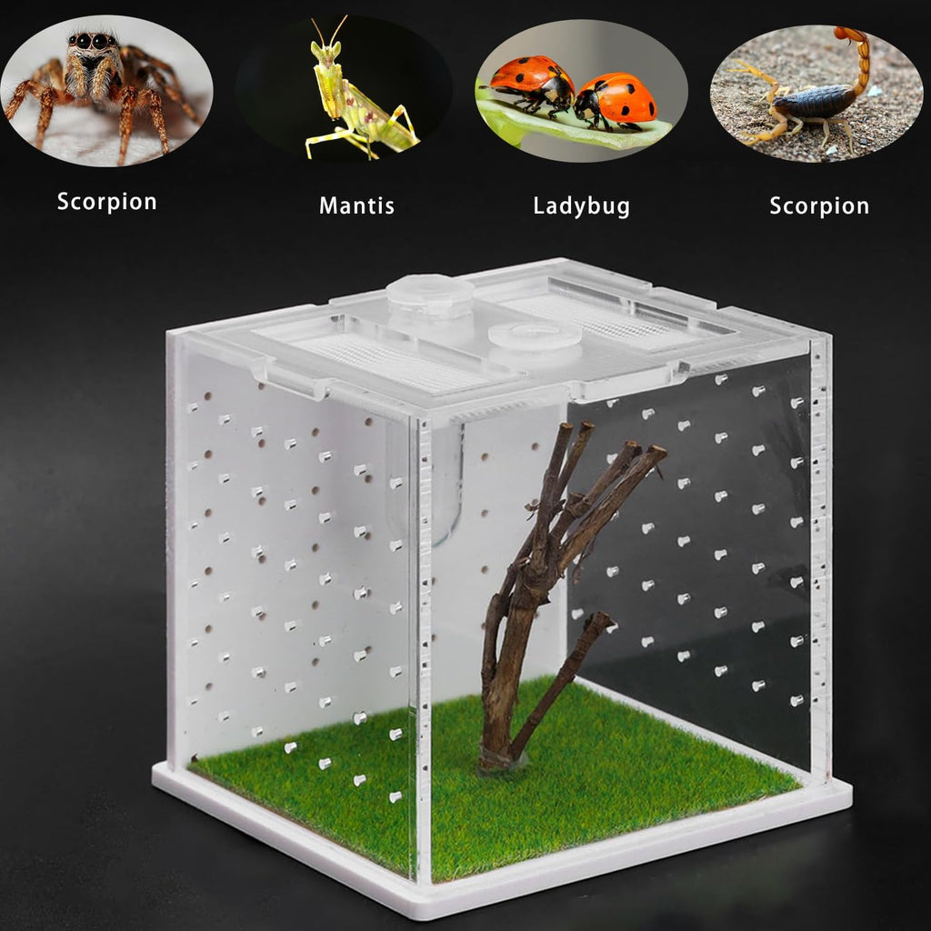 Jumping Spider Enclosure Acrylic Reptile Breeding Tank 2.95x2.95x2.87 Inches, Transparent Tarantula Habitat with Dropper, Feeding Box for Small Insects, Lizards, or Pet Terrarium (Clear)