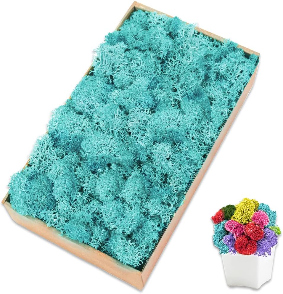 Preserved Moss for Crafts Blue Reindeer Moss for Potted Plants, Craft Decorative Moss Decor for Wall Art, Dried Moss(7oz, Blue)