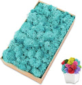 Preserved Moss for Crafts Blue Reindeer Moss for Potted Plants, Craft Decorative Moss Decor for Wall Art, Dried Moss(7oz, Blue)