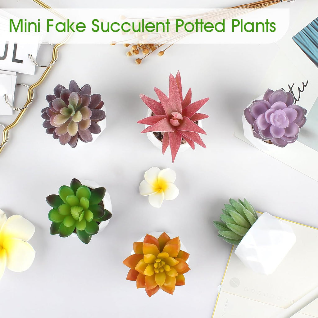 ZINHO Fake Succulent Plant Set 6 PCS Artificial Succulent Plants for Desk Realistic Faux Succulents in Plastic Pots Mini Colorful Succulent Decor for Bedroom Bathroom Office Shelf Decor (Mix)