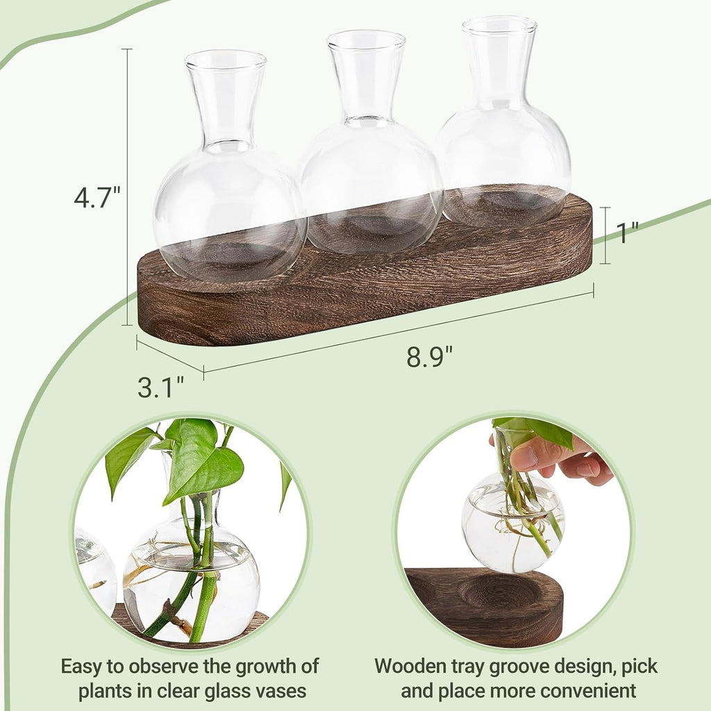 Mkono Desktop Plant Propagation Station Glass Planter Terrarium with Wooden Tray Bulb Flower Vase Perfect for Propagating Hydroponic Plants Home Office Decor Plant Lover Gift Idea