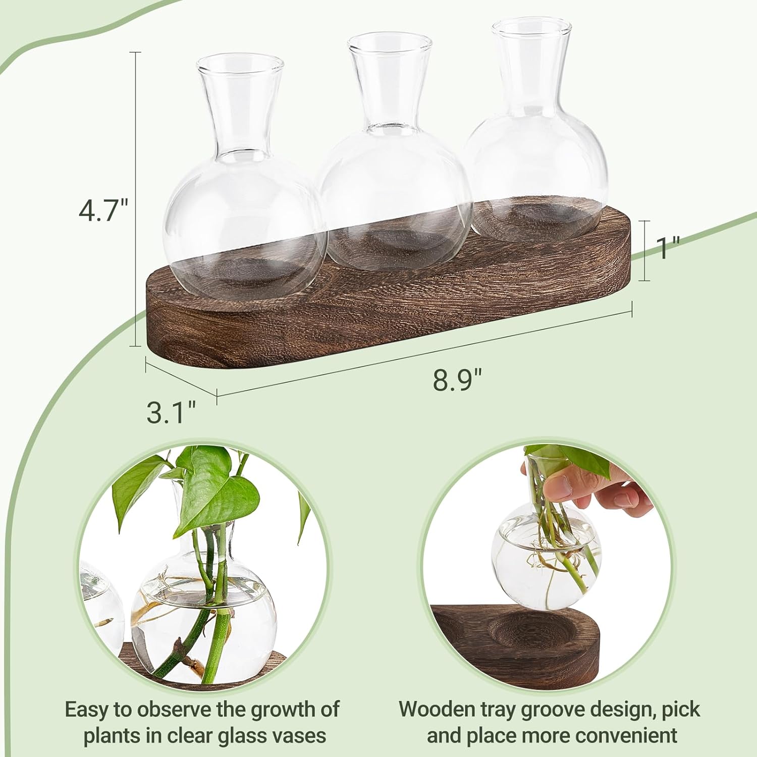 Mkono Desktop Plant Propagation Station Glass Planter Terrarium with Wooden Tray Bulb Flower Vase Perfect for Propagating Hydroponic Plants Home Office Decor Plant Lover Gift Idea