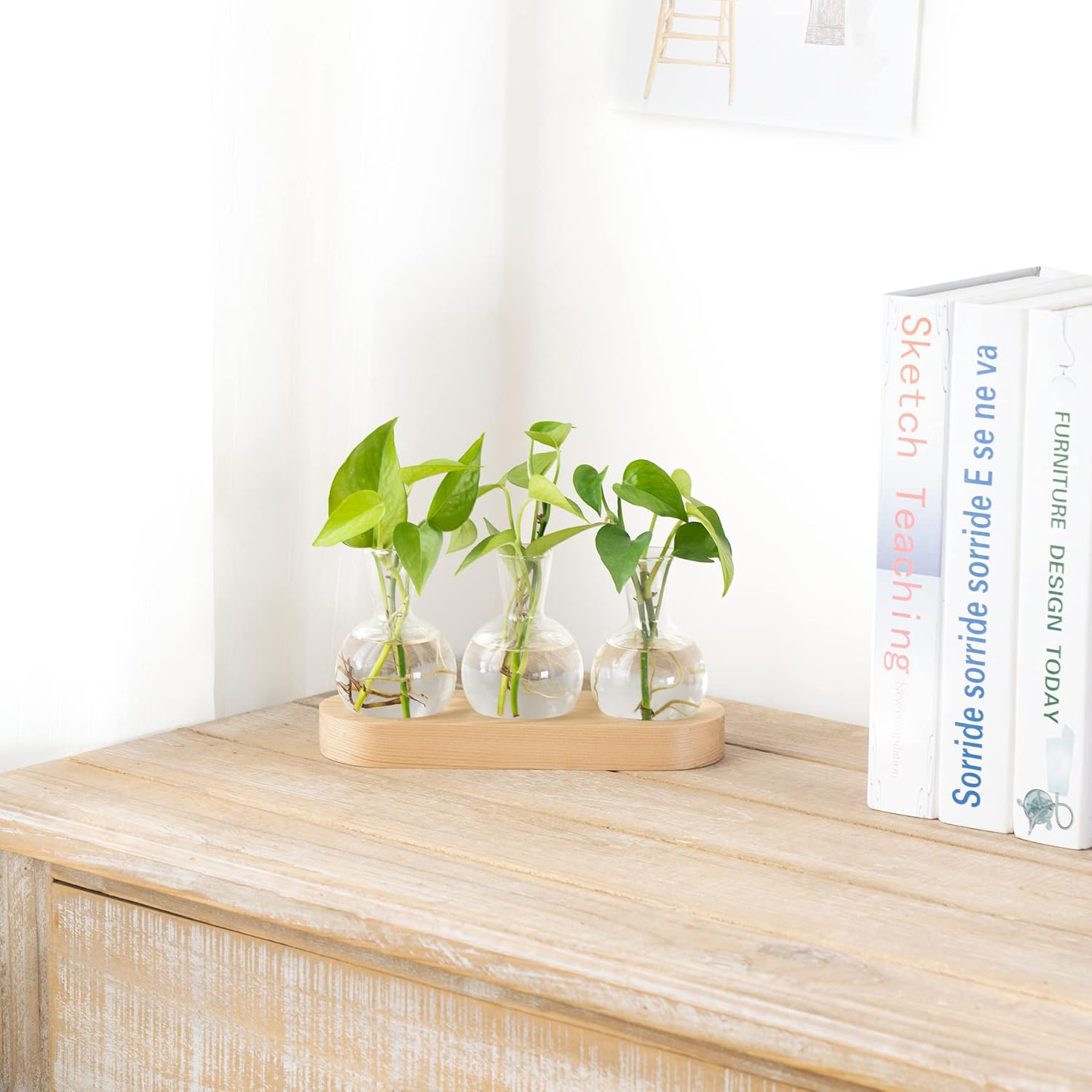Mkono Desktop Plant Propagation Glass Vase Station Retro Plant Terrarium with Wooden Tray Bulb Flower Vase Container Perfect for Propagating Hydroponic Plants Home Office Decor Plant Lover Gift Idea