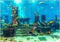 Yosoo PVC Coral Aquarium Background Underwater Poster,Fish Wall Decorations Sticker 4 Size(76x46cm)