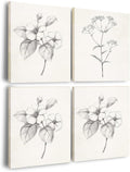 4pcs Framed Black and White Vintage Floral Sketch Wall Art Decor Canvas Print Wall Painting Picture Poster Minimalist Gallery Bedroom Living Room Office Decor Decoration 12x16 Inch Ready to Hang