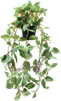 Artificial Hanging Ivy Plants Realistic 3D Watermelon Texture Faux Peperomia Leaves Fake Potting Vine Green Plants for Indoor Outdoor Home Garden Decor