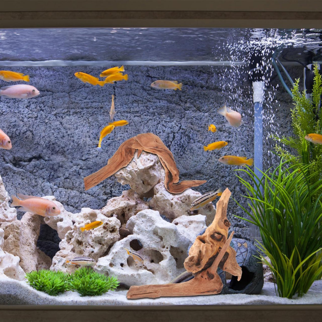 Aquarium Driftwood Small 4Pcs Natural Wood for Fish Tank Freshwater Decorations Reptile Branches Terrarium Decor Easy Install