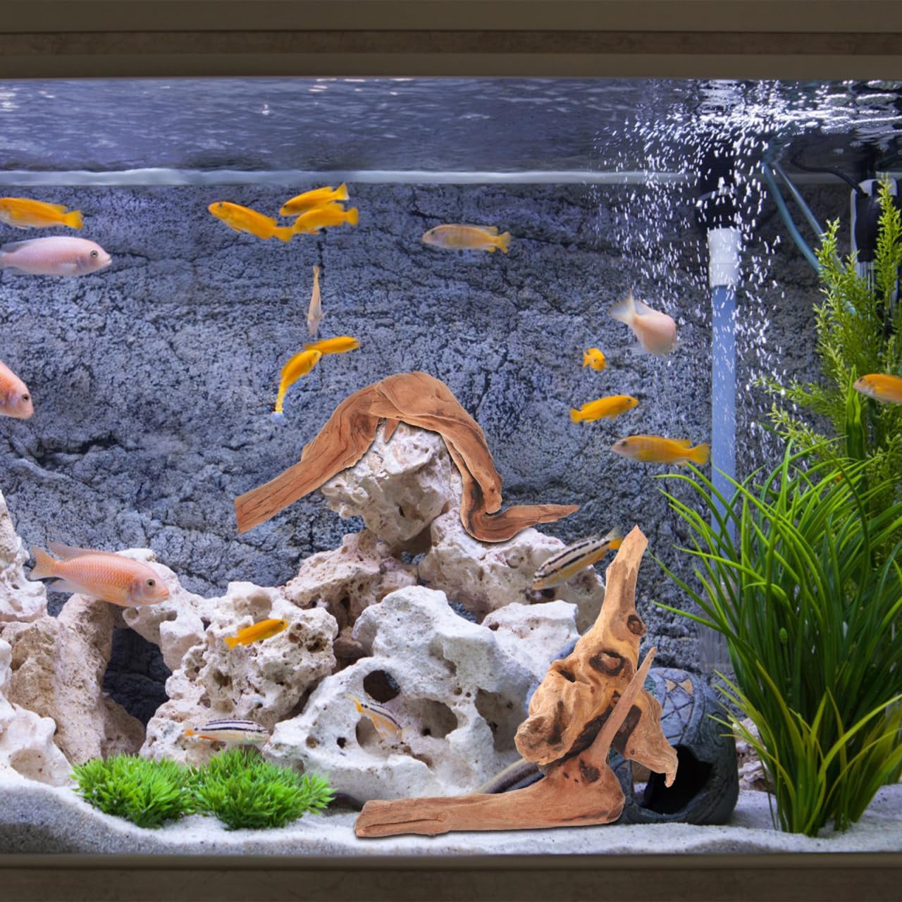 Aquarium Driftwood Small 4Pcs Natural Wood for Fish Tank Freshwater Decorations Reptile Branches Terrarium Decor Easy Install
