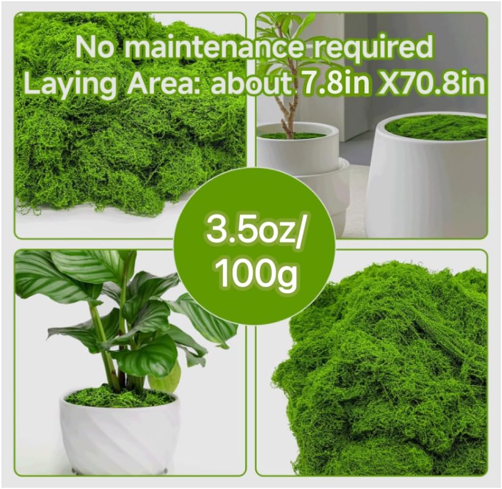 Aspamms Fake Green Moss for Potted Plants Indoor, 3.5oz Artificial Moss for Crafts, Faux Moss Decor for Fairy Garden, DIY Decorative, Model Making, Walls, Glass Containers, Home