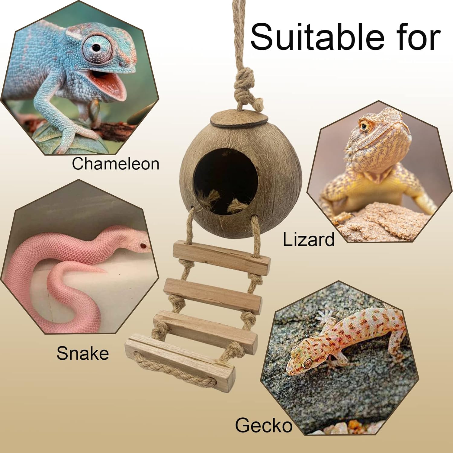 Crested Gecko Coconut Hut with Ladder,Natural Bearded Dragon Coco Den Reptile Shell Hideout Husk Hut Climbing Plants Leaves Tank Accessories for Lizard Chameleon Snakes