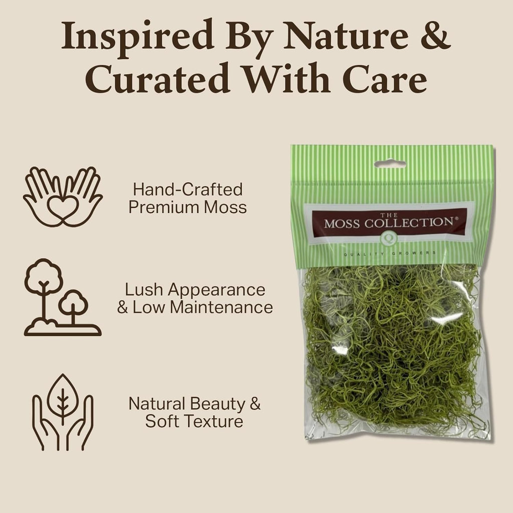 Preserved Spanish Moss - Premium Decorative Moss for Crafts, Home Décor, Art, Design & DIY Projects - Real Moss - Non-Toxic, USA-Made (Chartreuse, Medium, 2-Pack)