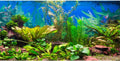 AWERT 30x18 inches Aquarium Background Aquatic Plant River Bed & Lake Fish Tank Background Vinyl