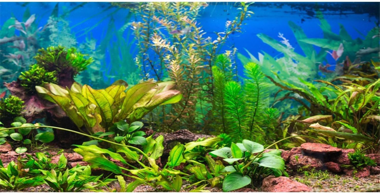AWERT 48x18 inches Aquarium Background Aquatic Plant River Bed & Lake Fish Tank Background Vinyl