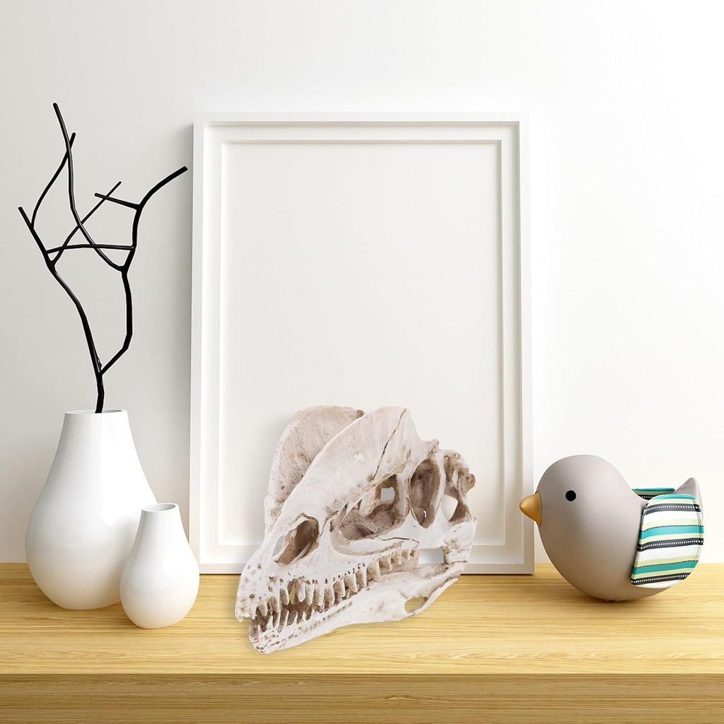 NUOBESTY Resin Dinosaur Skeleton Aquarium Decoration Dinosaur Skull Skeleton Ornament Fish Tank Aquarium Terrarium Decoration