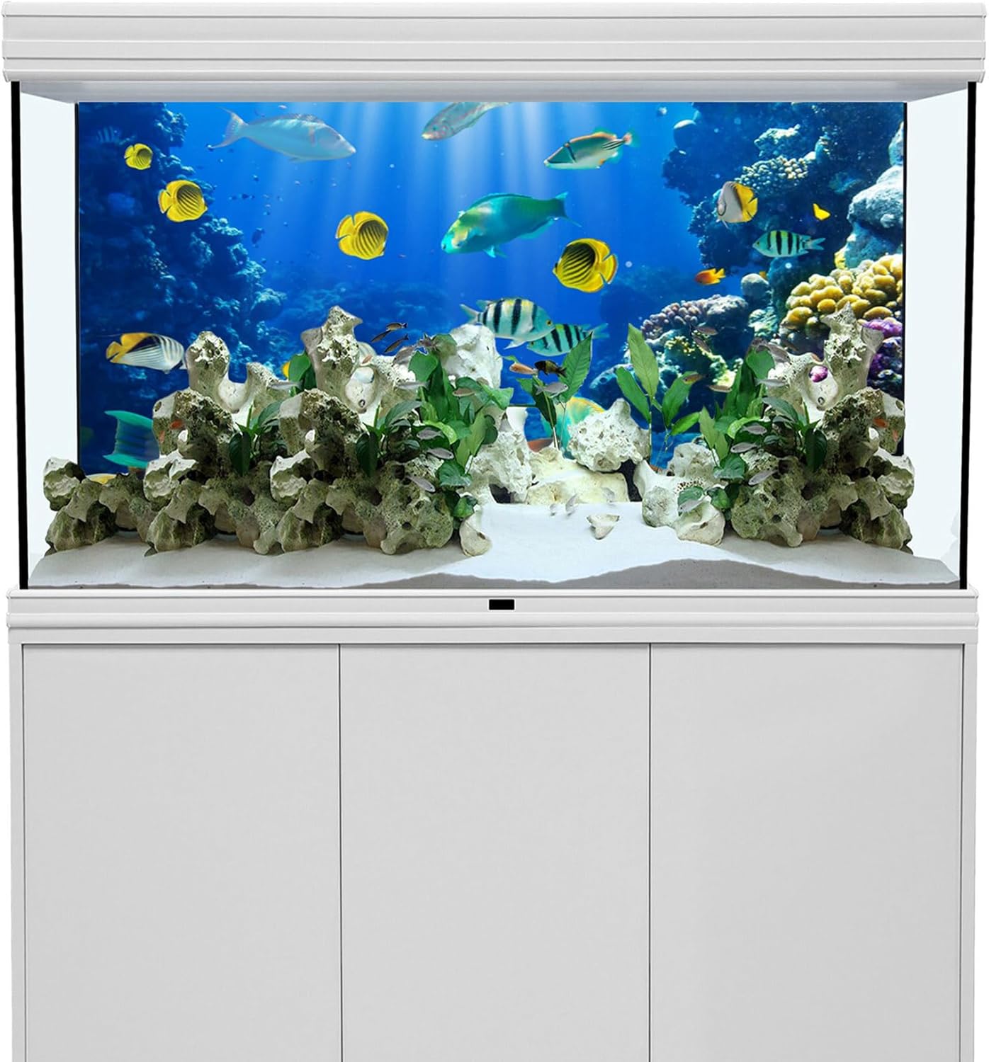 YongFoto Ocean Theme Fish Tank Background 72x24 inch Coral Seaweed Reef Rock Seafloor Tropical Fish Underwater Sea World Polyester Backdrop Reptile Habitat Terrarium Aquarium Background