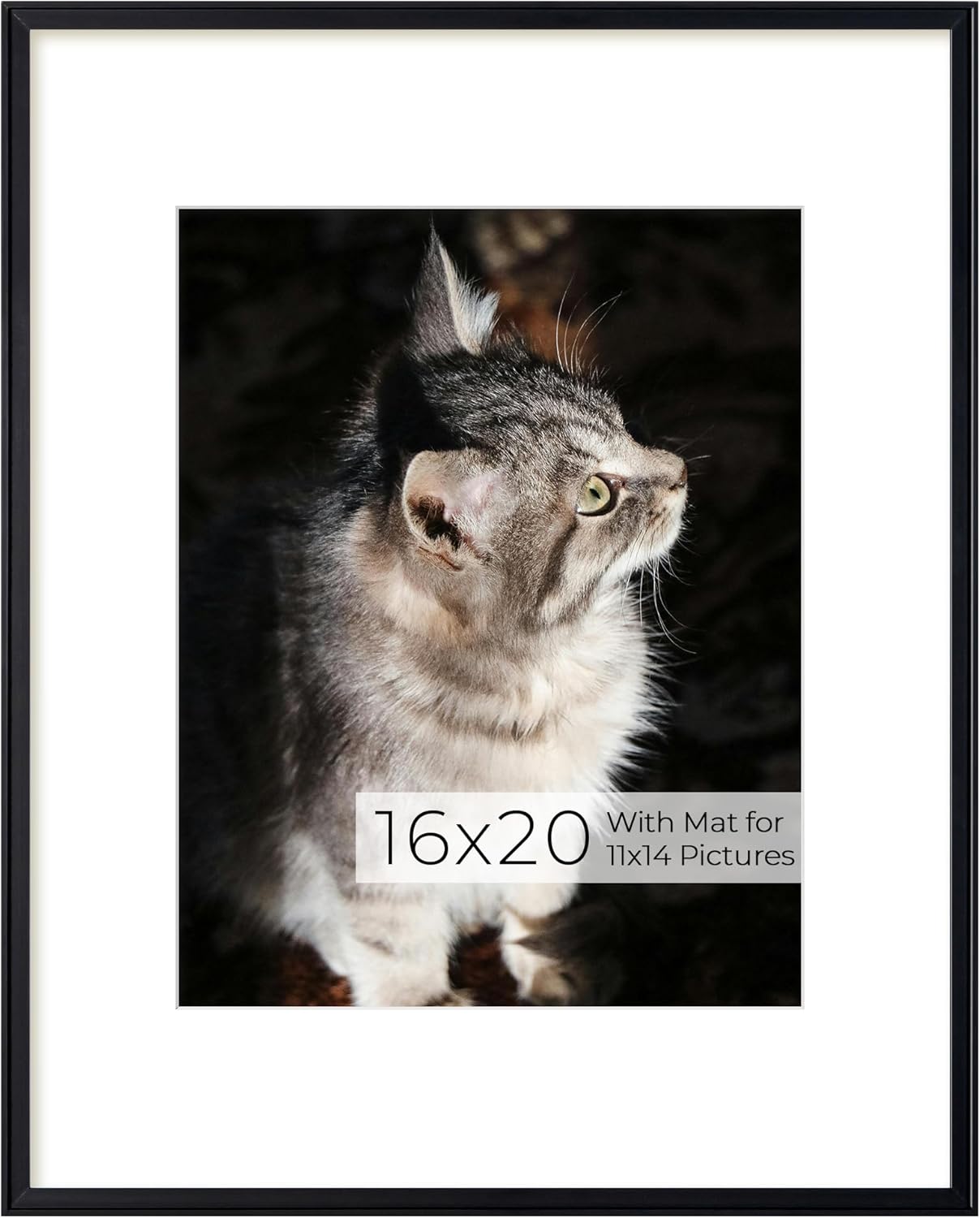 RICHFOCUS Aluminum Picture Frame - 16x20 Black Metal Frame with Mat for 11x14 Photo, Floating Frame with Tempered Glass - Poster Frame Wall Hook Included for Gallery Wall