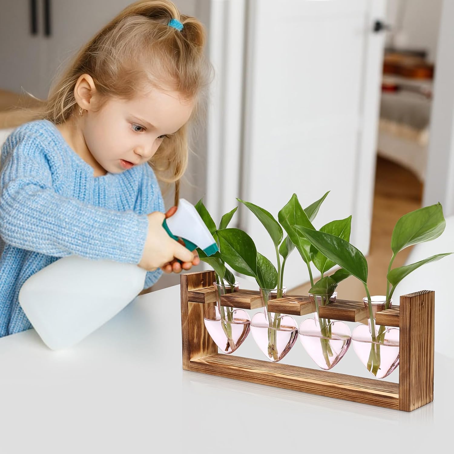 Heart Plant Terrarium Kit Gift for Women Plant Lover Glass Vases