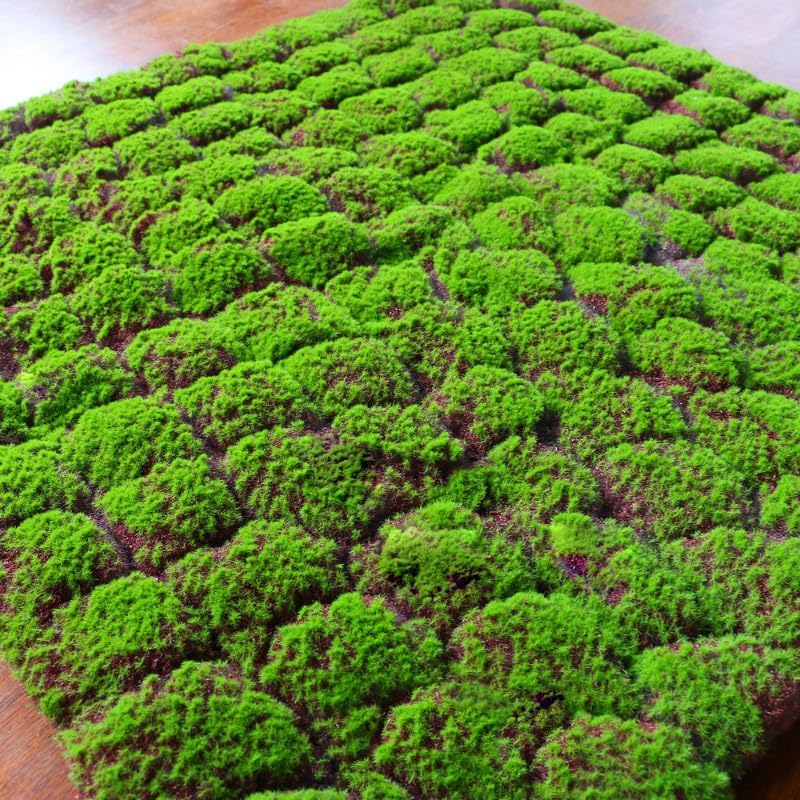 Artificial Moss Mat 1x1m(3.2x3.2ft) DIY Fake Moss for Art Wall Florist Decor Balcony Deck Patio Backyard Indoor Outdoor Decor