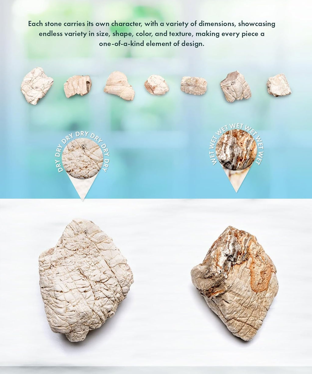 SubstrateSource Natural Aquarium Stones - Off-White Textured with Grooves Decorative Aquascaping Rocks for Betta Fish Tank, Goldfish, Cichlids, Hermit Crab & Terrariums - White Elephant Skin, 20 LB