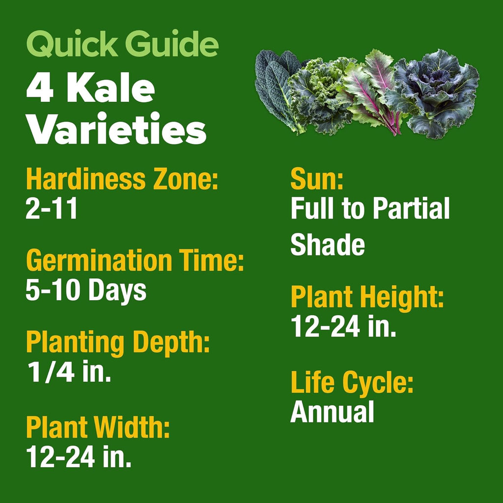 HOME GROWN Heirloom Vegetable Seeds Vegetable Seeds for Planting Home Garden, Beans, Carrots, Peppers, Cucumber, Kale, Pepper Seeds, Tomato (4 Kale)