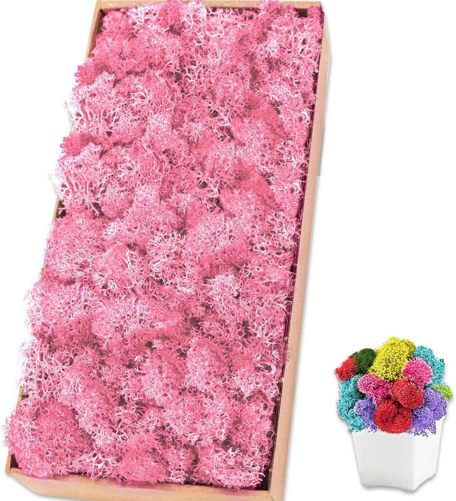 Preserved Reindeer Moss 17.6 OZ Pink Natural for Crafts, DIY Gift Christmas Decor, Wall Art, Potted Plants, Floral Fake Moss for Easter Table Decor Wedding Decorative(1.1 LB, Pink)
