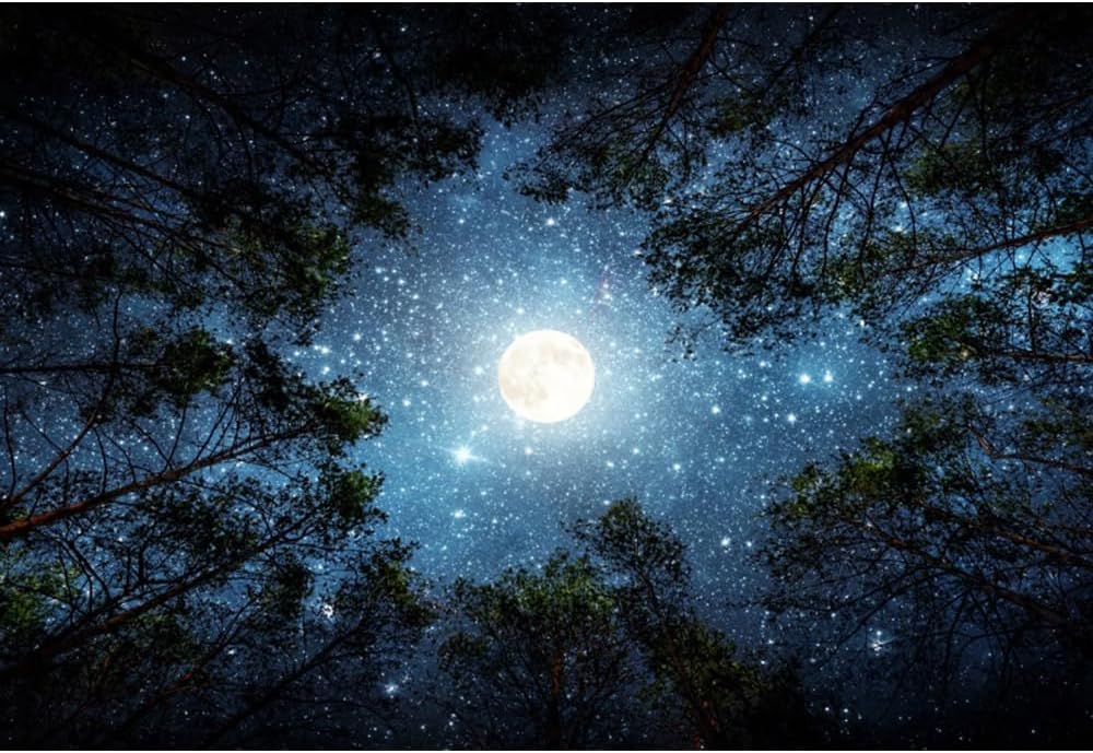 Laeacco 12x10ft Forest Night View Backdrop Galaxy Starry Sky Moonlight Tops of Green Trees Natural Landscape Photography Background Forest Camping Adventure Birthday Party Decor Photo Booth Props