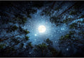 Laeacco 10x6.5ft Forest Night View Backdrop Galaxy Starry Sky Moonlight Tops of Green Trees Natural Landscape Photography Background Forest Camping Adventure Birthday Party Decor Photo Booth Props