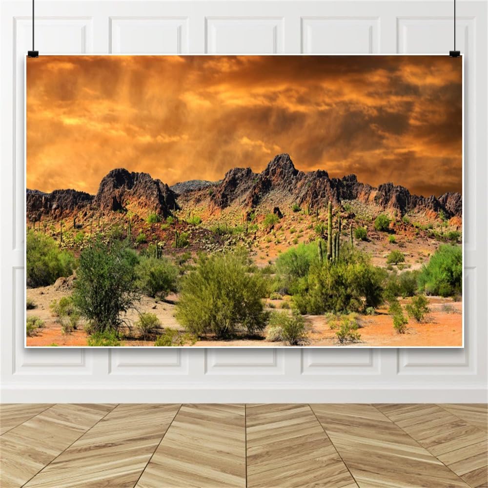 Laeacco 15x10ft Dusk Desolate Desert Backdrop Weathered Mountains Scenic Backdrop Natural Landscape Sunset Glow Cactuses Wedding Photo Studio Stage Perfomance Wallpaper Portrait Shoot Booth Props