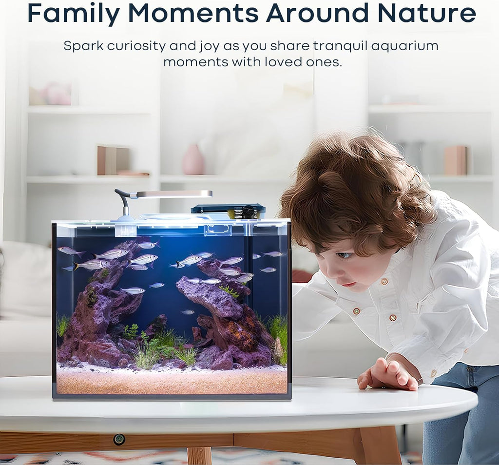 3 Gallon Small Fish Tank Glass Aquarium Set, Starter Kit with Heater Water Pump Cleaning Filter Bright Light Rocks Gravel Cleaning Tool, Leak-Proof Clear Rimless Desktop Spaces Saving Betta Fish