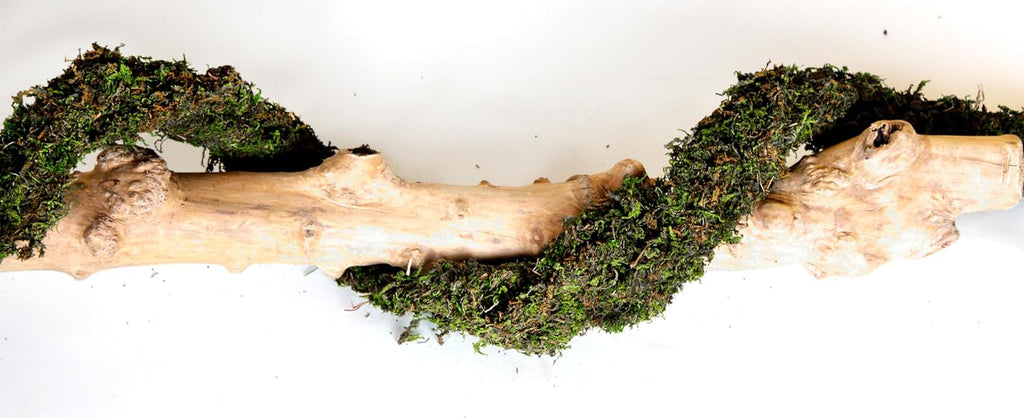 SuperMoss (22711) MossVine Decorative Garland | Preserved Mountain Moss for Home, Wedding, and Garden Decor | Bendable Greenery for Crafts, Centerpieces, Topiaries, and Floral Arrangements, 12 Ft