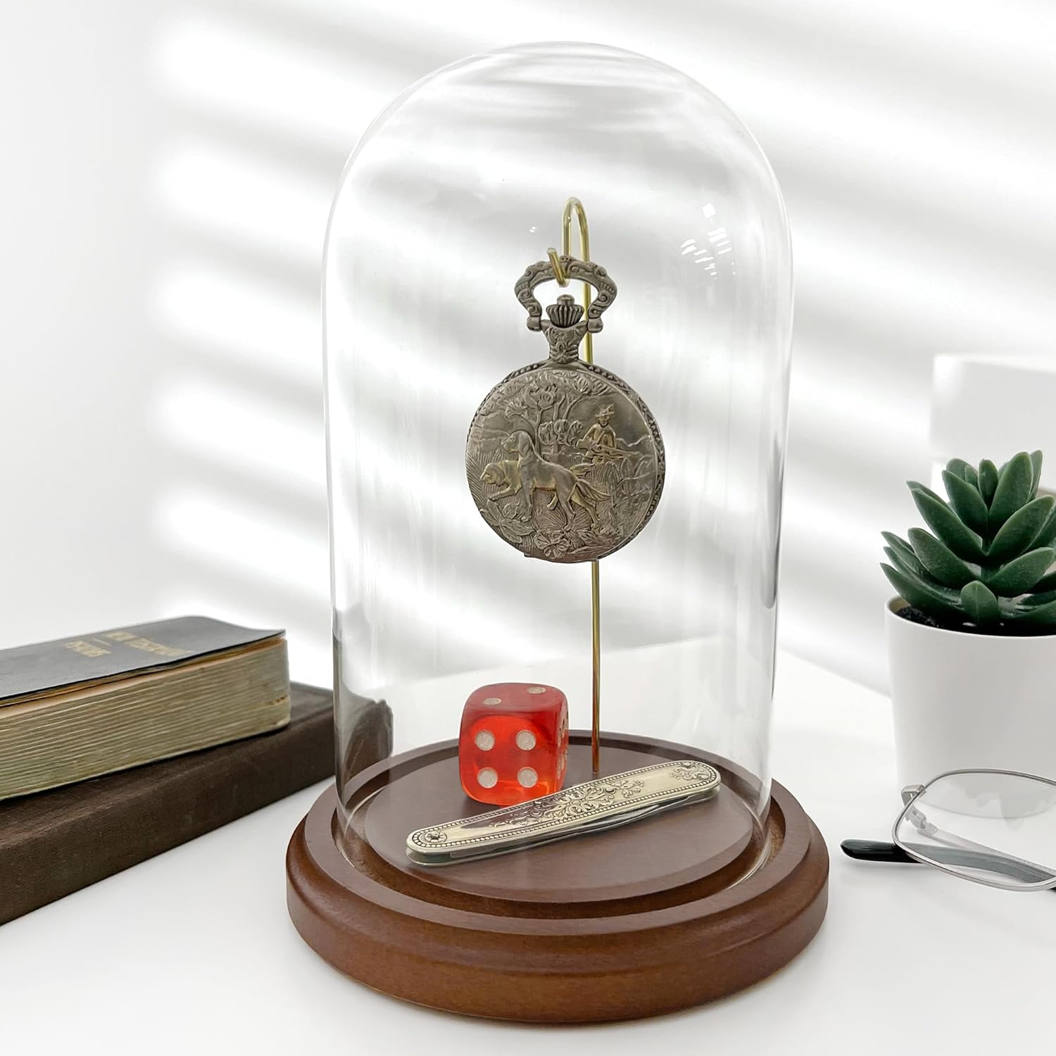 Plymor 4" x 7" Watch/Ornament Glass Display Dome