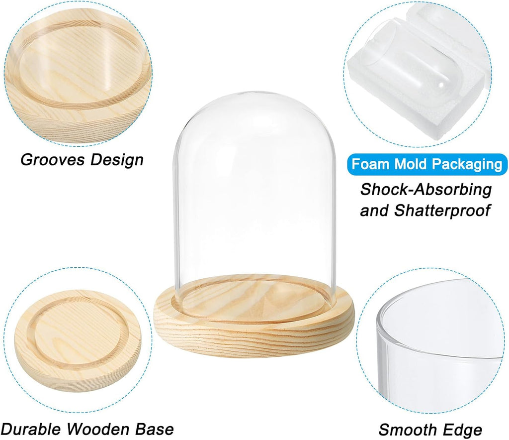 PATIKIL 4.7"x3.5" Clear Cloche Glass Dome, Glass Bell Jar Display Case Tabletop Centerpiece with Wooden Base for Plants Home Decor